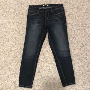 Daytrip Lynx ankle skinny jeans